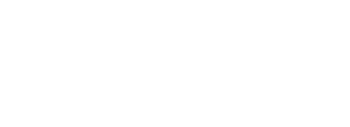 Birmingham Festival