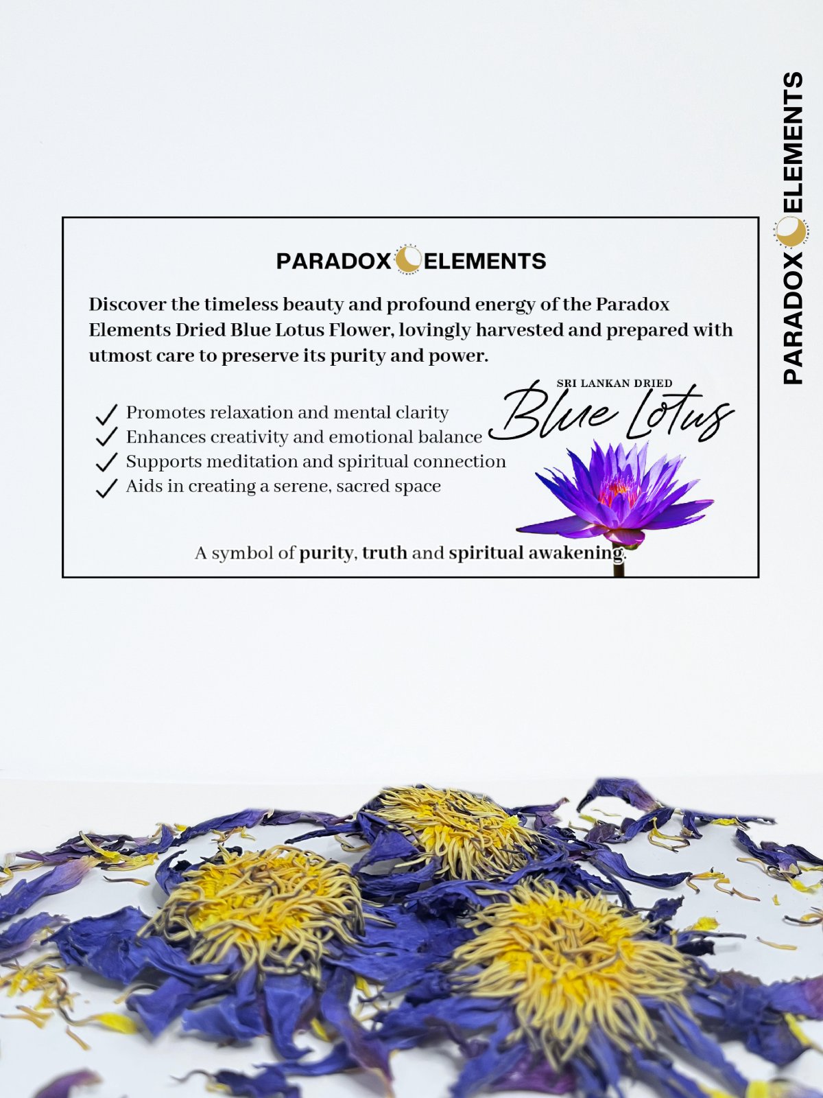 Paradox Elements